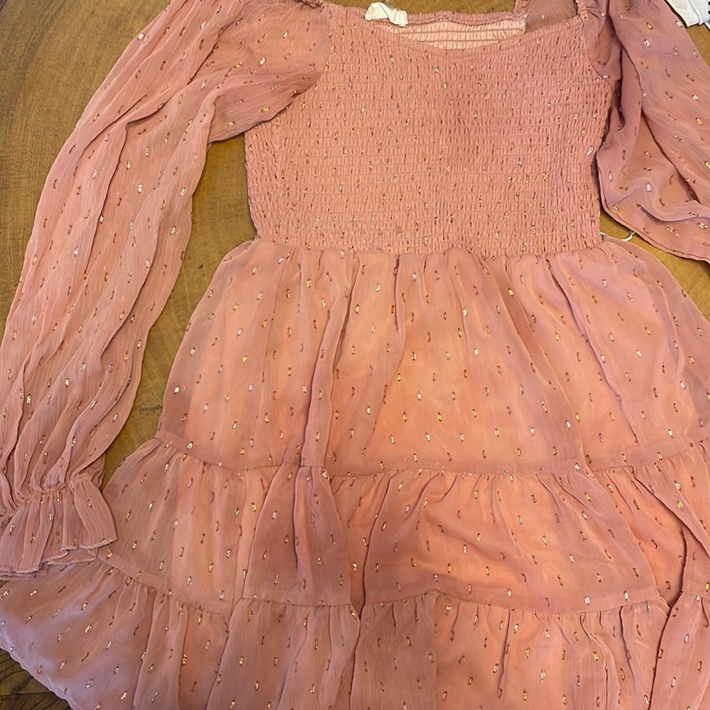 Pink sparkly altard state dress